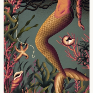The Mermaid Of Black Concha Novel From The Vintage Earth Col
