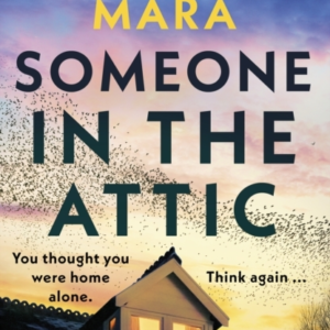 Someone In The Attic