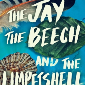 The Jay The Beech And The Limpetshellfinding Wild Things Wi