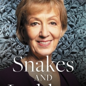Snakes And Laddersnavigating The Ups And Downs Of Politics