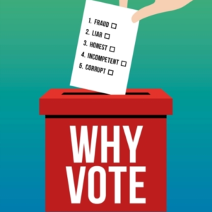 Why Votehow To Make Your Voice Heard In A World Of Broken Po