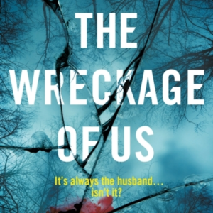 The Wreckage Of Us