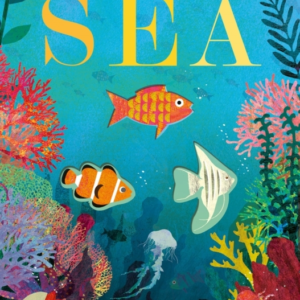 Seaa World Beneath The Waves