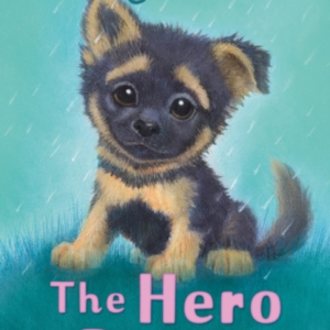 The Hero Puppy