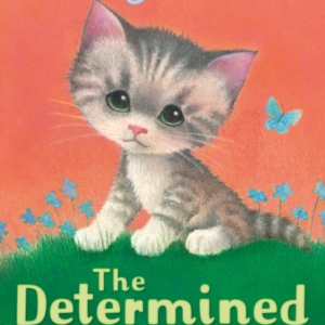 The Determined Kitten