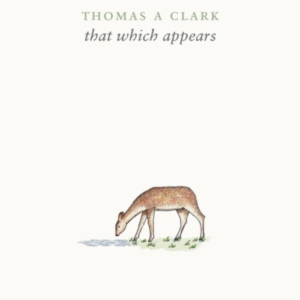 That Which Appears