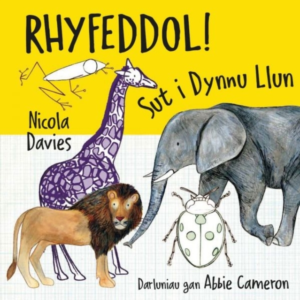 Rhyfeddol! Sut I Dynnu Llun