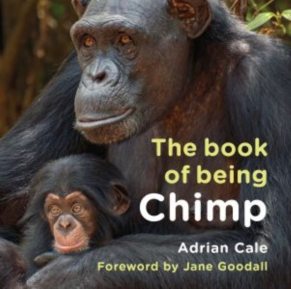 The Book Of Being Chimp