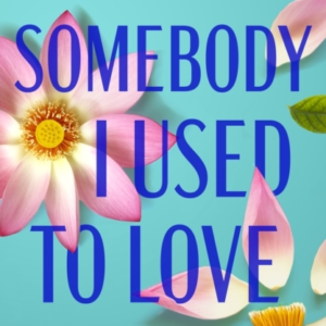 Somebody I Used To Lovethe Most Emotional Unforgettable Lov
