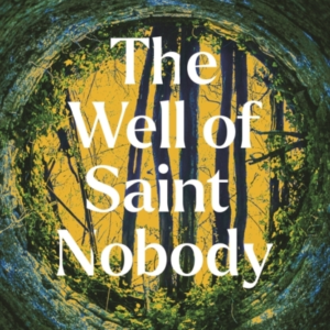 The Well Of Saint Nobody