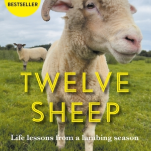 Twelve Sheeplife Lessons From A Lambing Season
