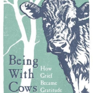 Being With Cows