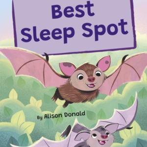 Best Sleep Spot(Blue Early Reader)