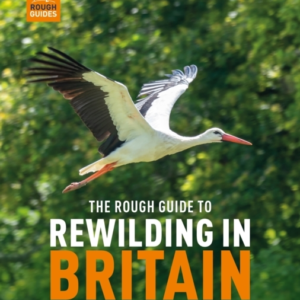 The Rough Guide To Rewilding In Britain15 Special Places To