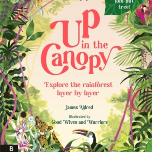 Up In The Canopyexplore The Rainforest Layer By Layer