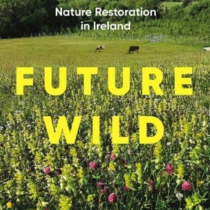 Future Wildnature Restoration In Ireland