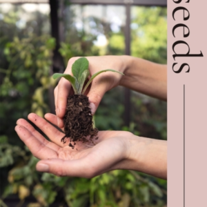 Seedsgrow Your Own Cut Flowers From Scratch