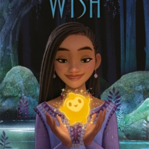 Disney Wish The Junior Novel