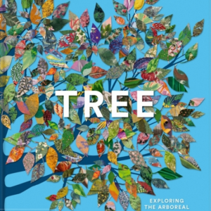 Treeexploring The Arboreal World