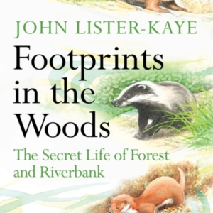 Footprints In The Woodsthe Secret Life Of Forest And Riverba