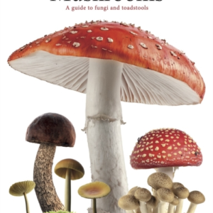 Mushroomsa Guide To Fungi And Toadstools