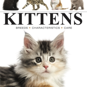 Kittens