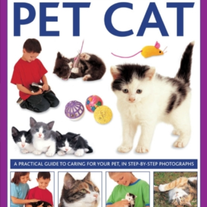 How To Look After Your Pet Cat