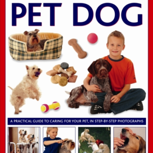 How To Look After Your Pet Dog