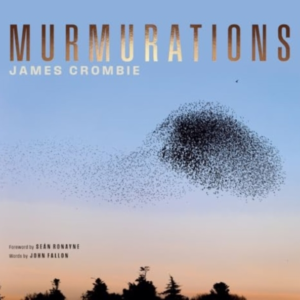 Murmurations