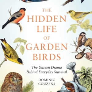 The Hidden Life Of Garden Birdsthe Unseen Drama Behind Every