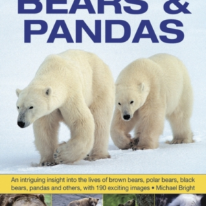 Exploring Nature Bears & Pandasan Intriguing Insight Into T
