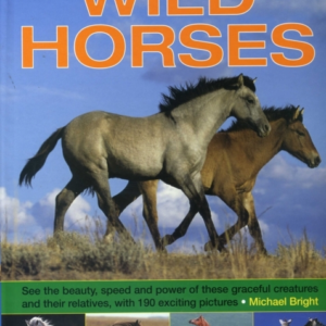 Exploring Nature Wild Horses
