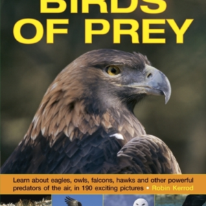 Exploring Nature Birds Of Prey