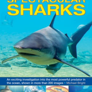 Exploring Nature Spectacular Sharks
