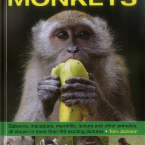 Exploring Nature Monkeys