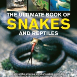 Snakes And Reptiles Ultimate Book Ofdiscover The Amazing Wo