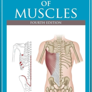 The Concise Book Of Muscles Fourth Edition
