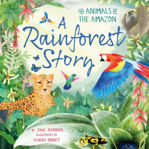 A Rainforest Story The Animals Of The Amazon