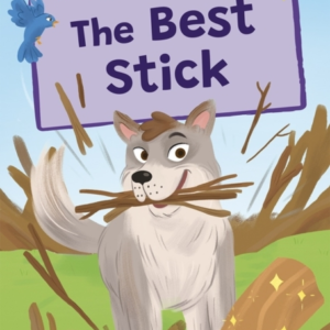The Best Stick(Yellow Early Reader)