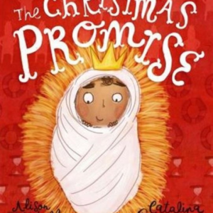 The Christmas Promise Storybooka True Story From The Bible A