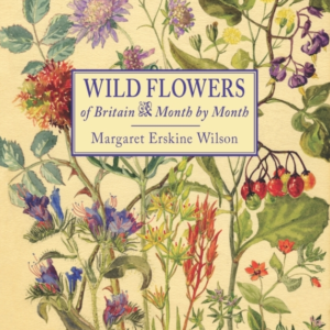 Wild Flowers Of Britainmonth By Month