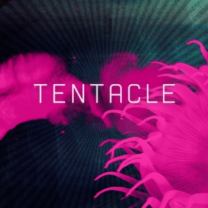 Tentaclewinner Of The 2017 Grand Prize Of The Association Of