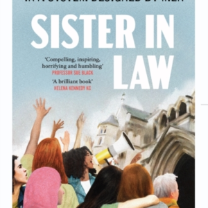 Sister In Lawfighting For Justice In A System Designed By Me