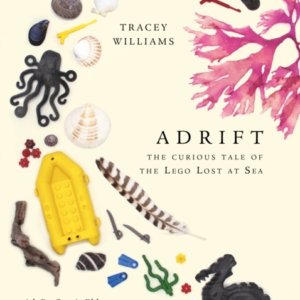 Adriftthe Curious Tale Of The Lego Lost At Sea