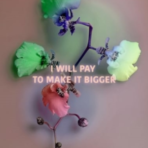 I Will Pay To Make It Bigger