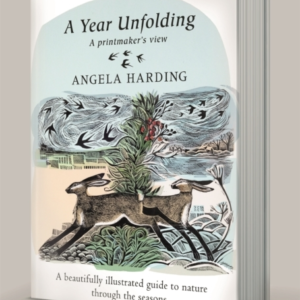 A Year Unfolding A Printmaker'S View