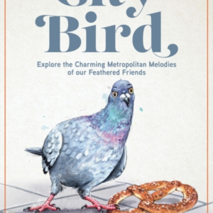 City Bird Explore The Charming Metropolitan Melodies Of Our