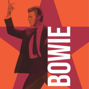 David Bowie Rock 'N' Roll Chameleon