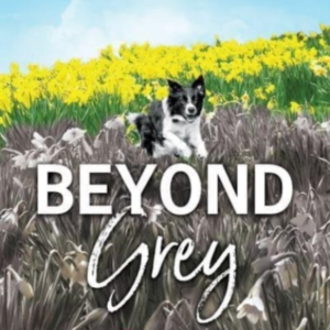 Beyond Grey