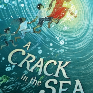 A Crack In The Sea